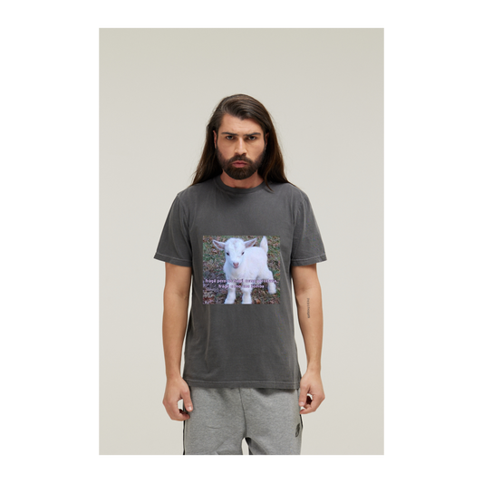 Camiseta Estonada Cinza Chumbo