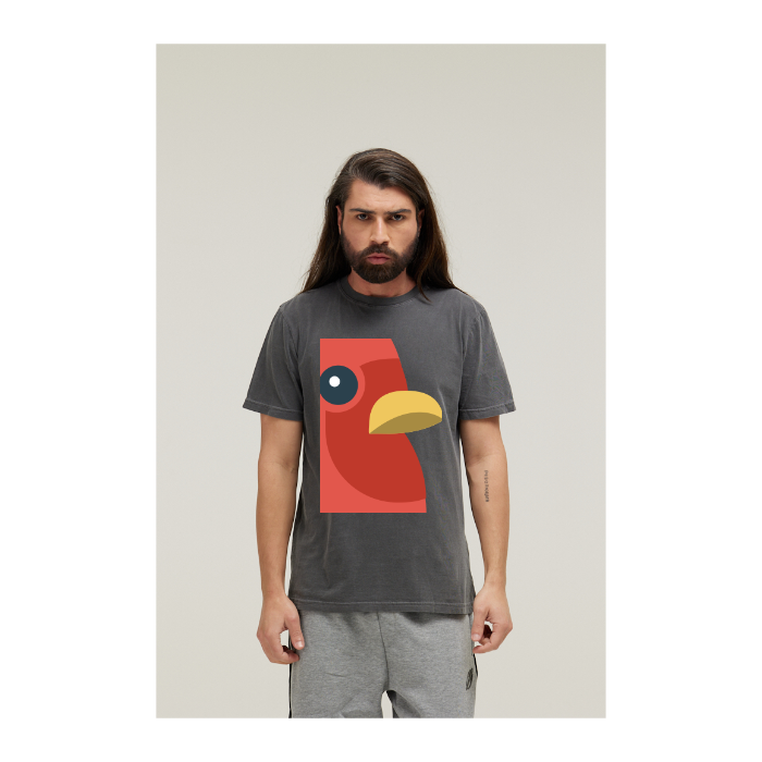 Camiseta Estonada Cinza Chumbo