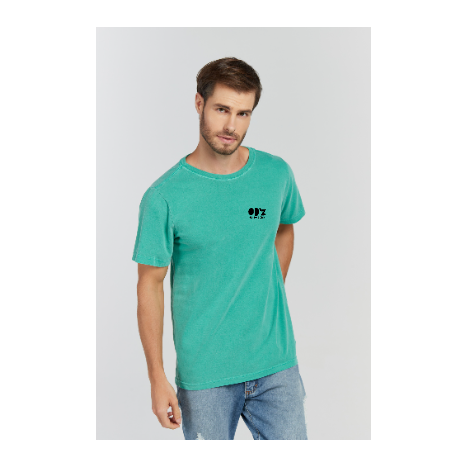 Camiseta Estonada Verde Bandeira