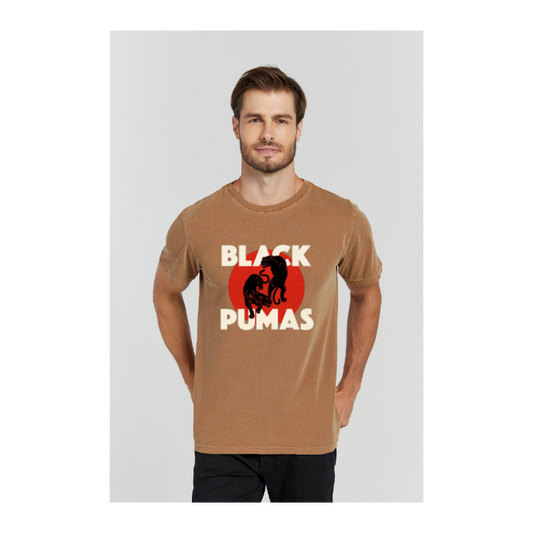 Camiseta Estonada Marrom