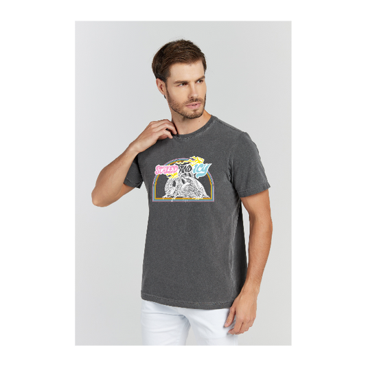 Camiseta Estonada Cinza Chumbo